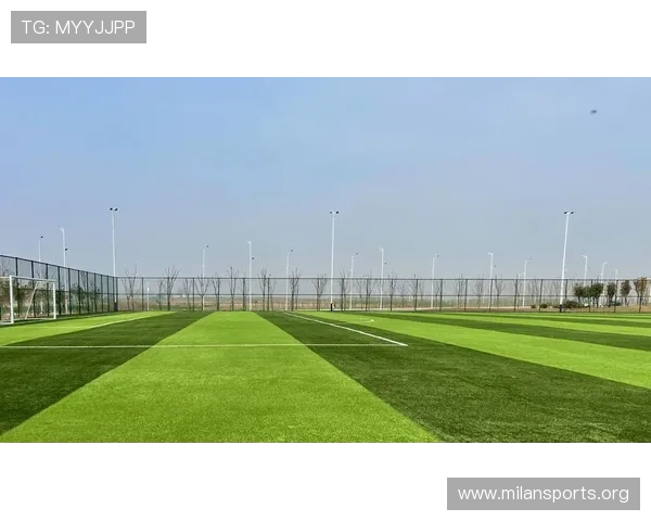 四季体育引领健康生活方式全面提升全民运动参与度